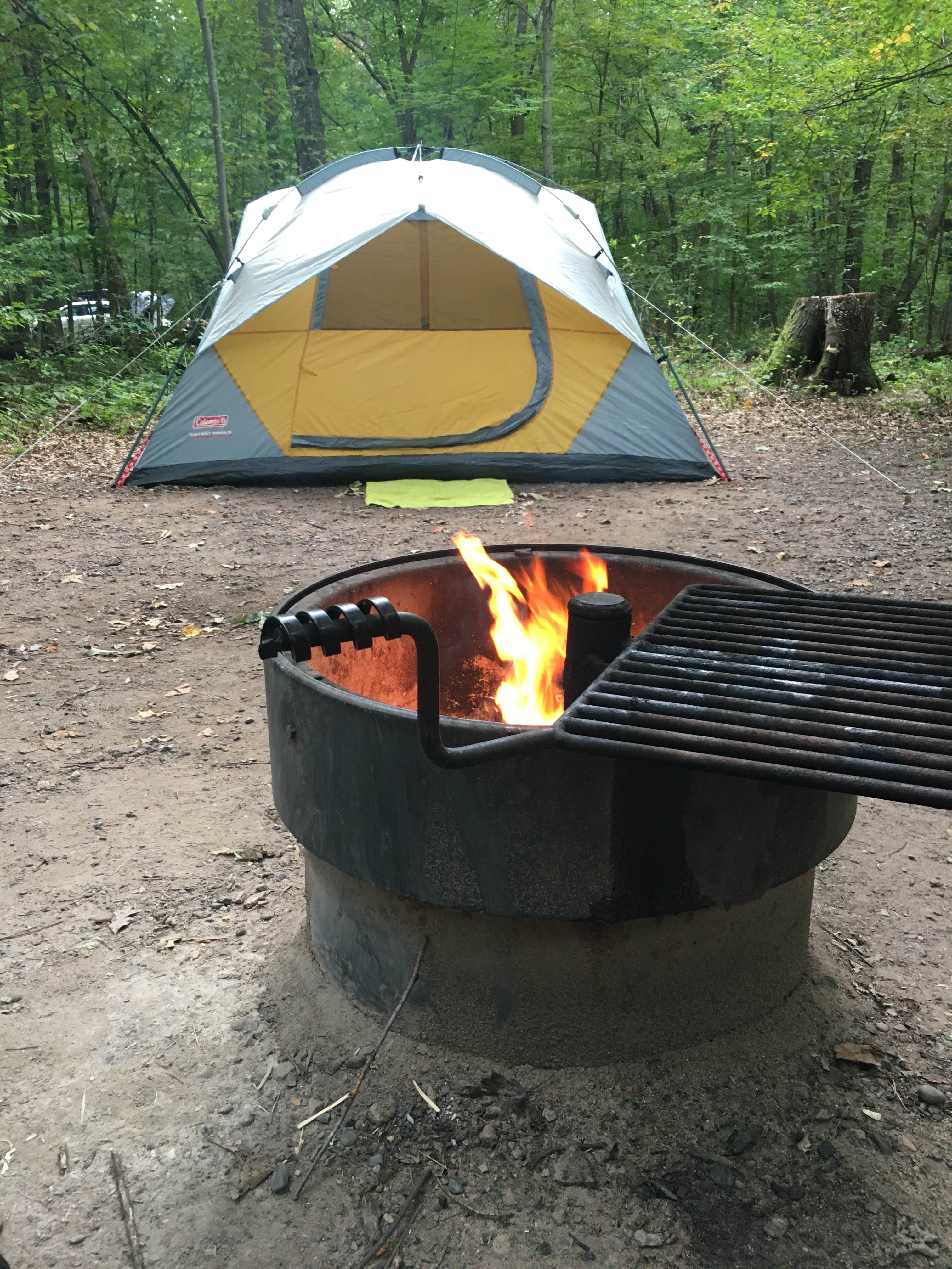 Dani K.'s photo at Wild River State Park Campground near Lindstrom, MN