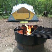 Review photo of Wild River State Park Campground by Dani K., September 19, 2020