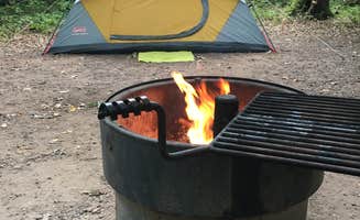 Dani K.'s photo at Wild River State Park Campground near Saint Croix National Scenic River