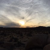 Review photo of White Tank Campground — Joshua Tree National Park by Brittany H., May 1, 2018