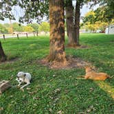 Review photo of Harbine Park Campground by Jon G., September 20, 2020