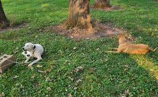 Jon G.'s photo of camping with pets at Harbine Park Campground in Nebraska