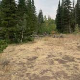 Review photo of Tie City Campground (Wy) — Medicine Bow Routt N Fs & Thunder Basin Ng by Neil T., September 20, 2020