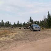 Review photo of Tie City Campground (Wy) — Medicine Bow Routt N Fs & Thunder Basin Ng by Neil T., September 20, 2020