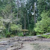 Review photo of Sequim Bay State Park Campground by Amanda B., September 20, 2020