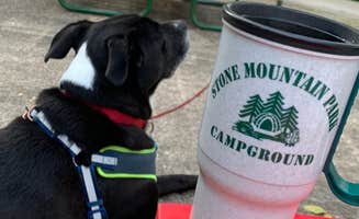 Linda's photo of camping with pets at Flatwoods KOA near Walkersville, WV