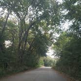 Review photo of Waubonsie State Park Campground by Tony B., September 20, 2020