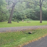 Review photo of Waubonsie State Park Campground by Tony B., September 20, 2020