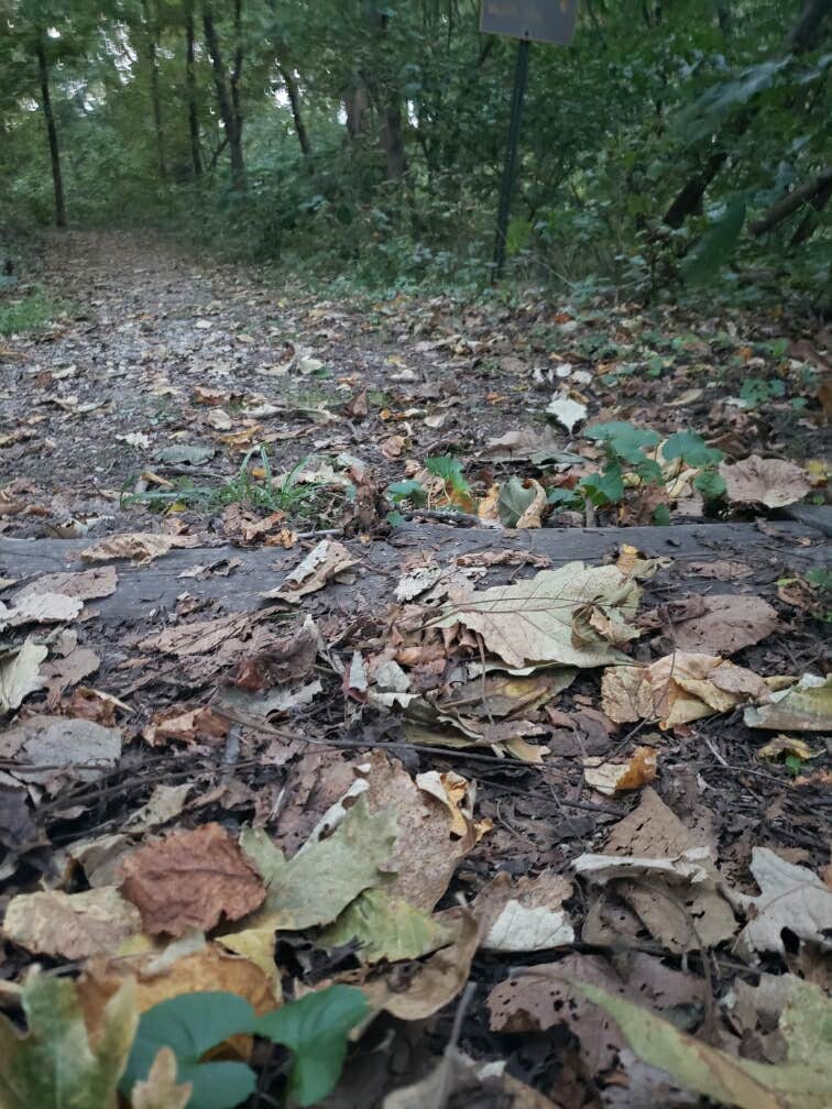 Camper-submitted photo at Waubonsie State Park Campground near Nebraska City, NE