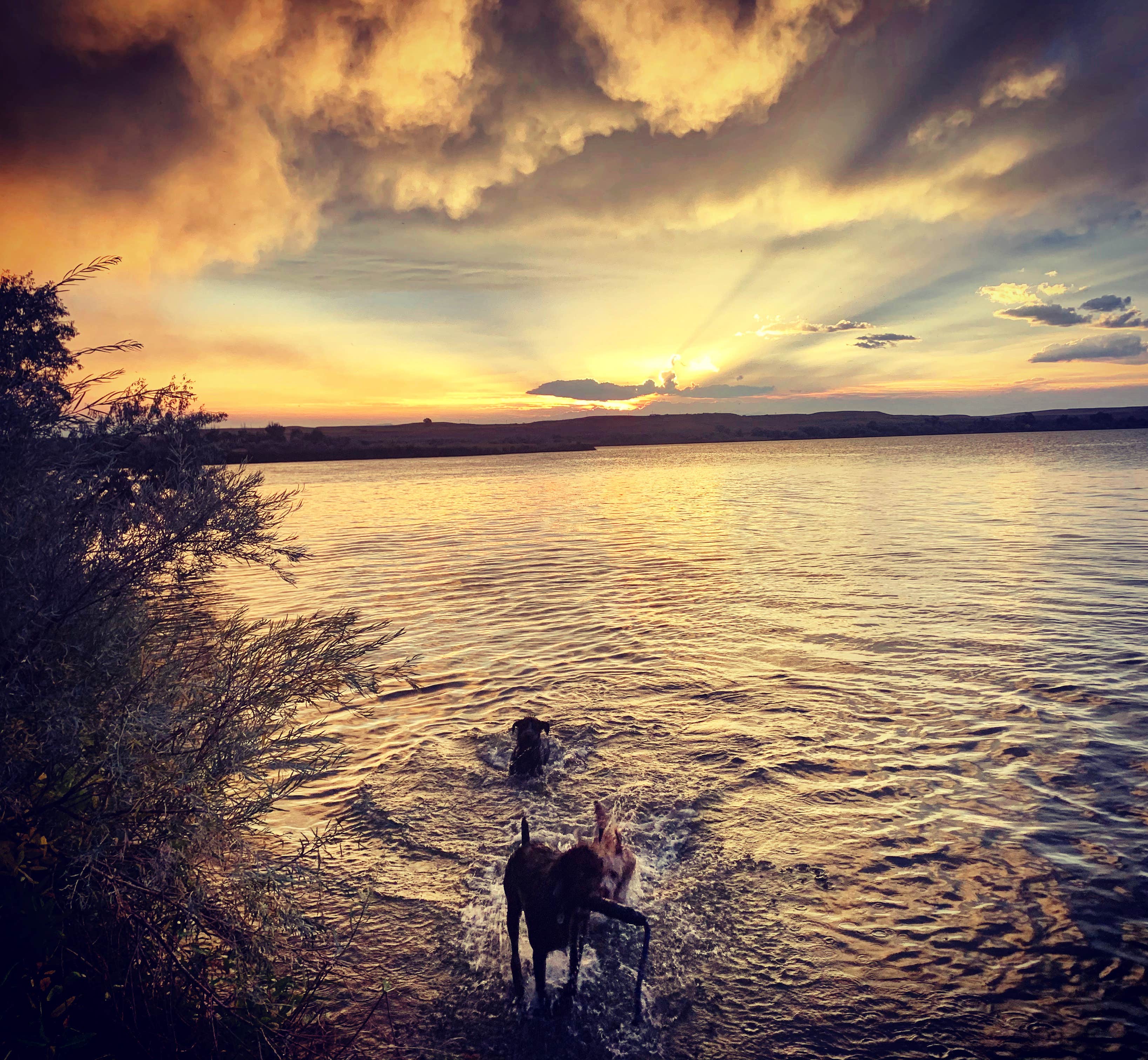 Camper-submitted photo at Jacks Creek Campground near Bruneau, ID