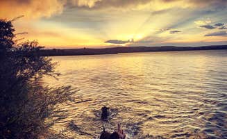 Jennifer R.'s photo of camping with pets at Jacks Creek Campground in Idaho