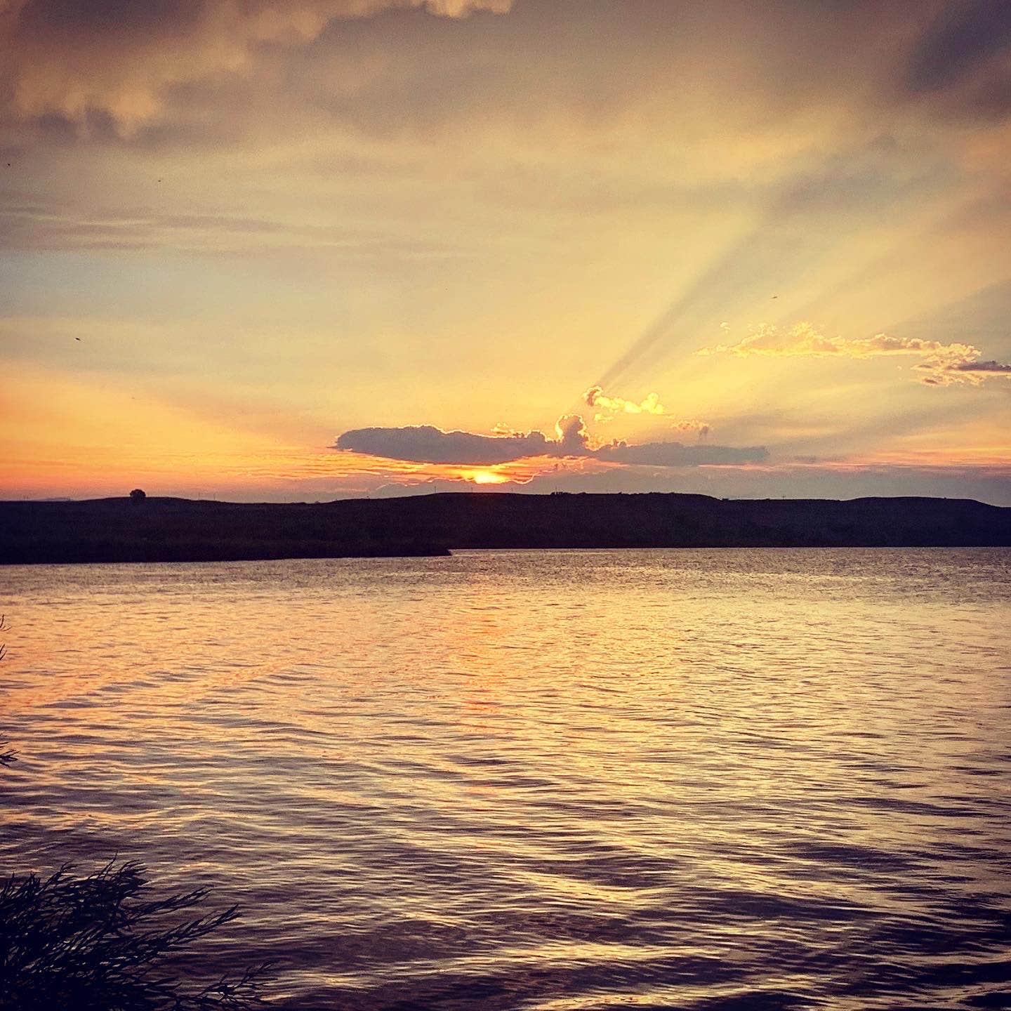 Camper-submitted photo at Jacks Creek Campground near Bruneau, ID