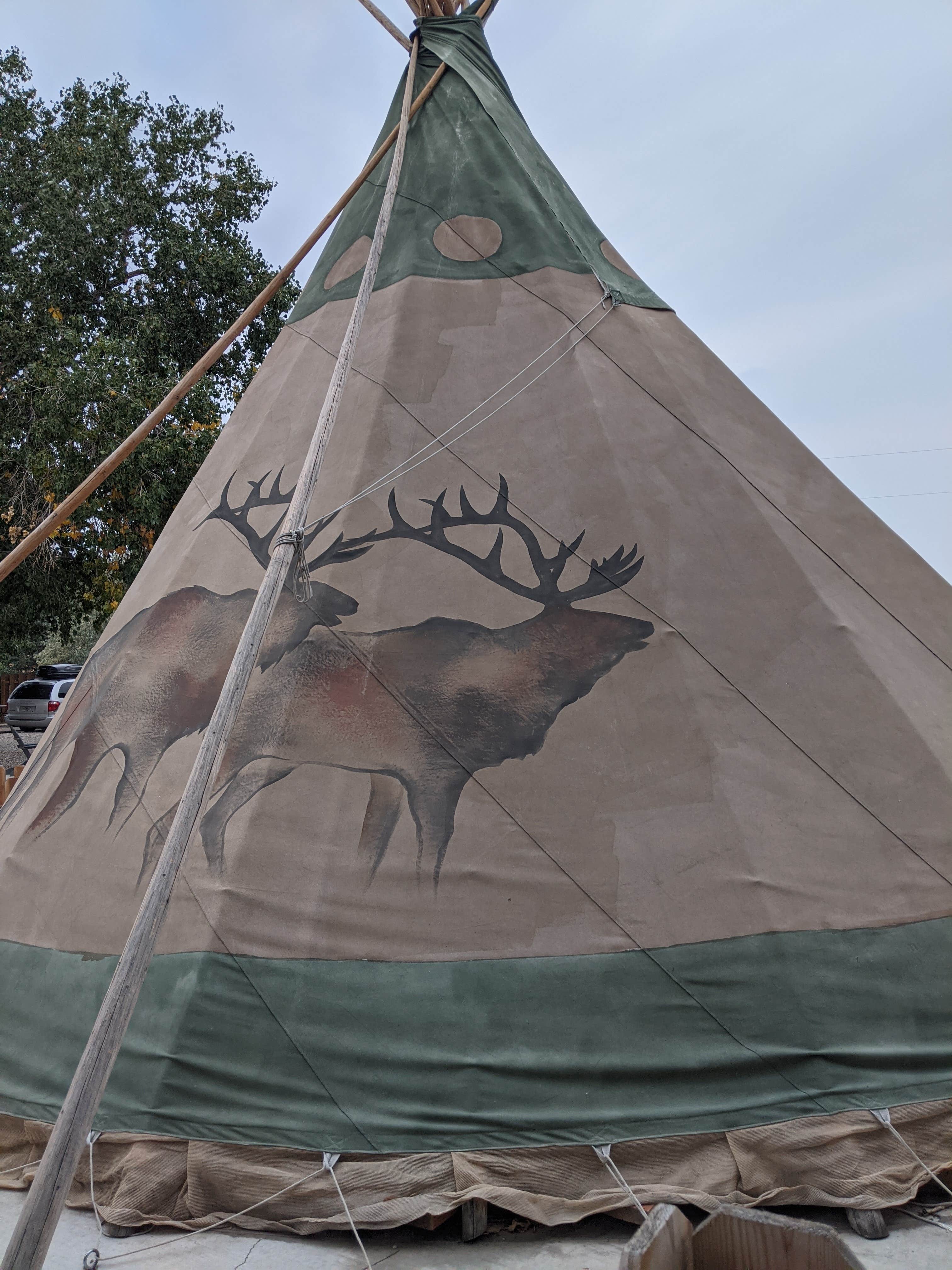 Camper-submitted photo at Cody KOA near Cowley, WY