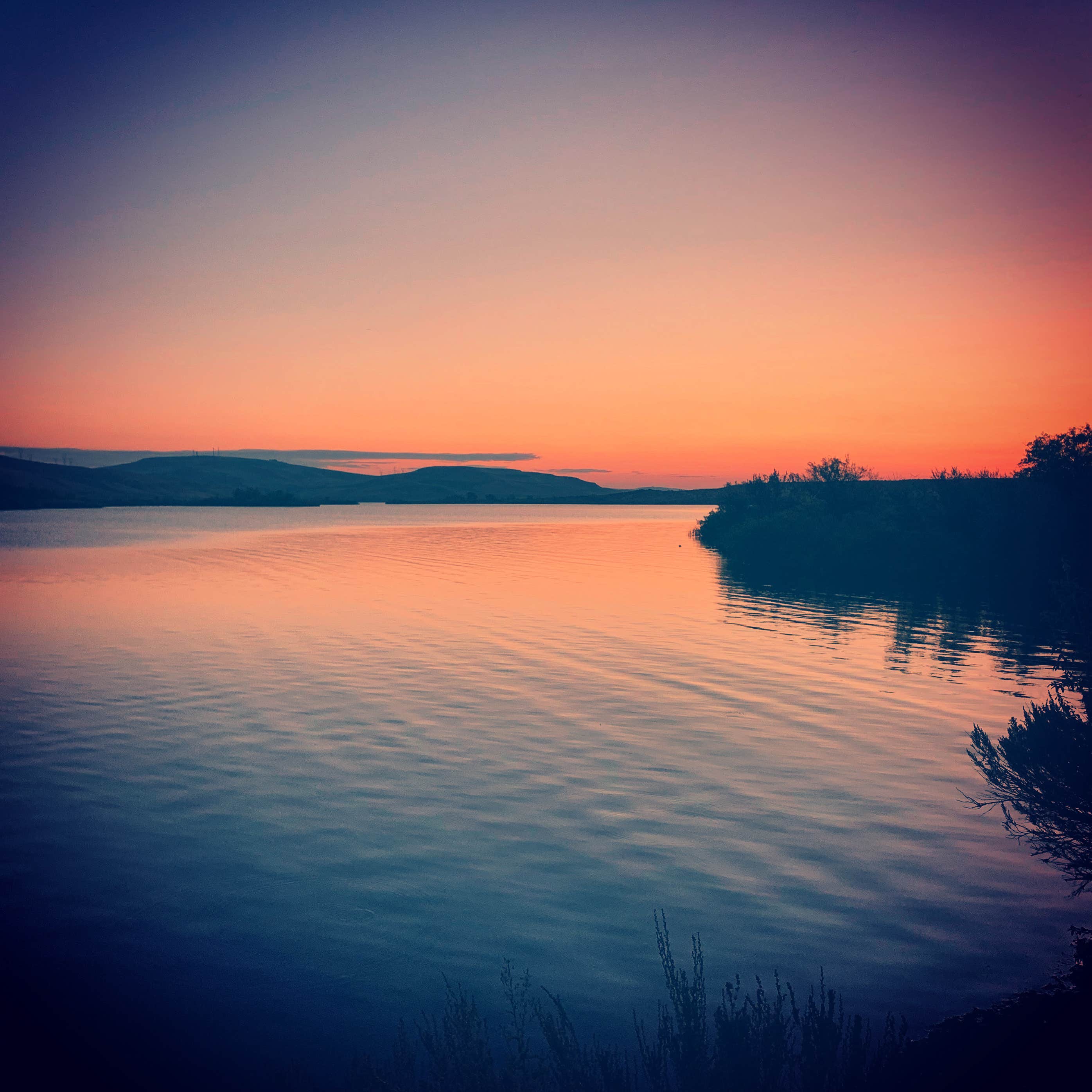 Camper-submitted photo at Threemile Canyon Park near Mikkalo, OR