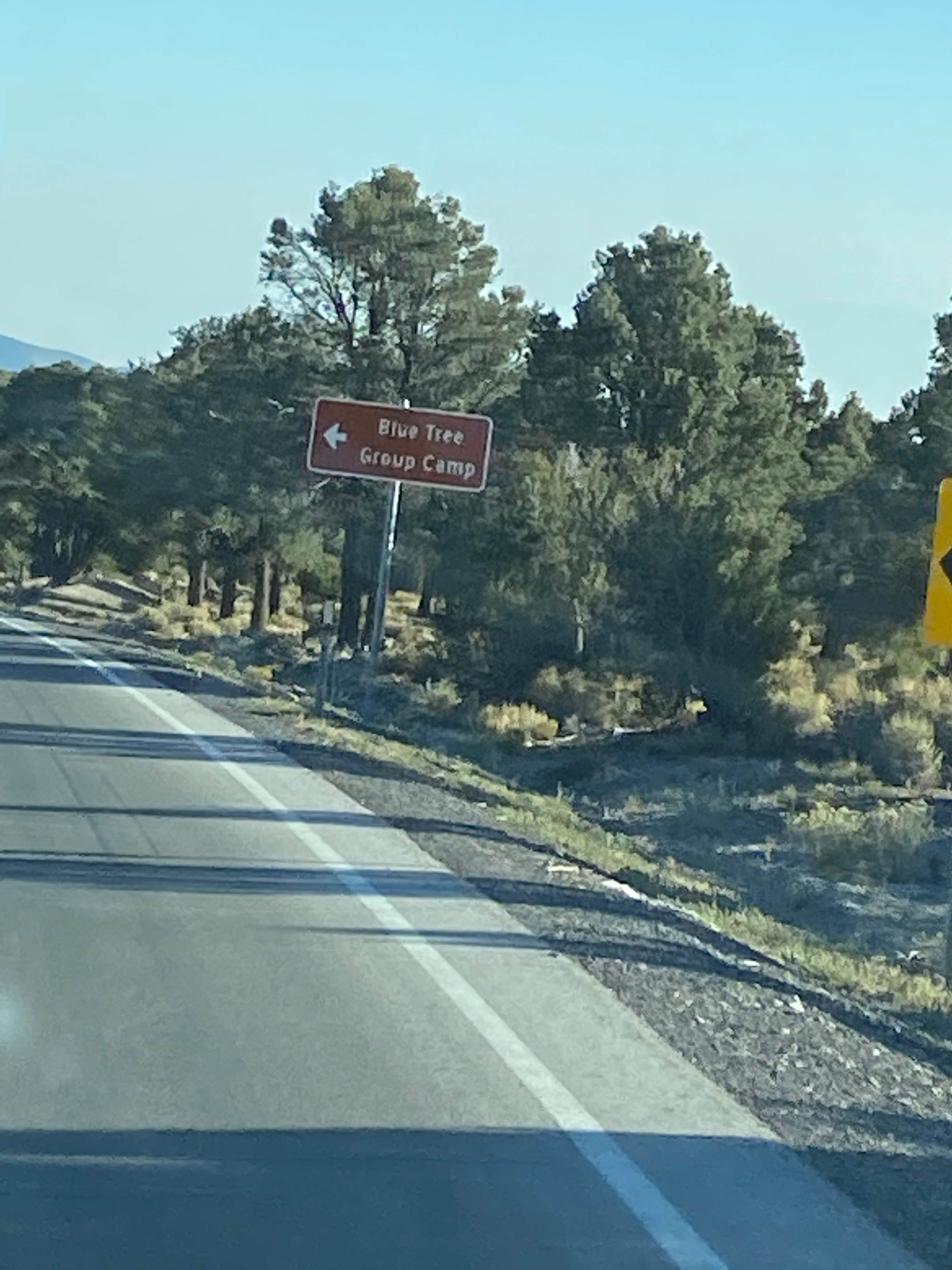 Camper-submitted photo at Blue Tree Group Camp near Indian Springs, NV