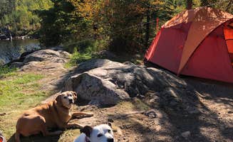 Jennifer H.'s photo of camping with pets at Trail's End Campground near Superior National Forest