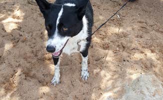 Melissa H.'s photo of camping with pets at West Shore Camping Area — Cheney State Park near Valley Center, KS