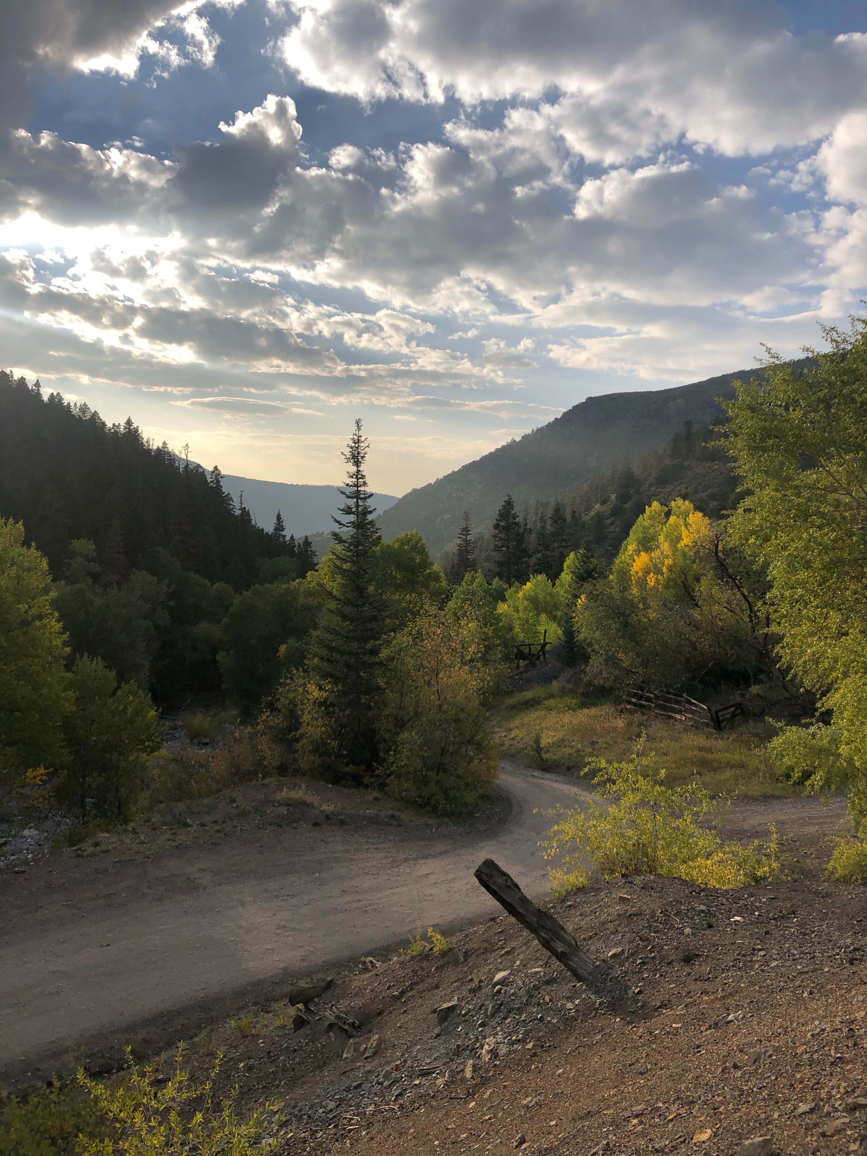 Camper-submitted photo at County Road 14, Dexter Creek Backcountry near Ouray, CO