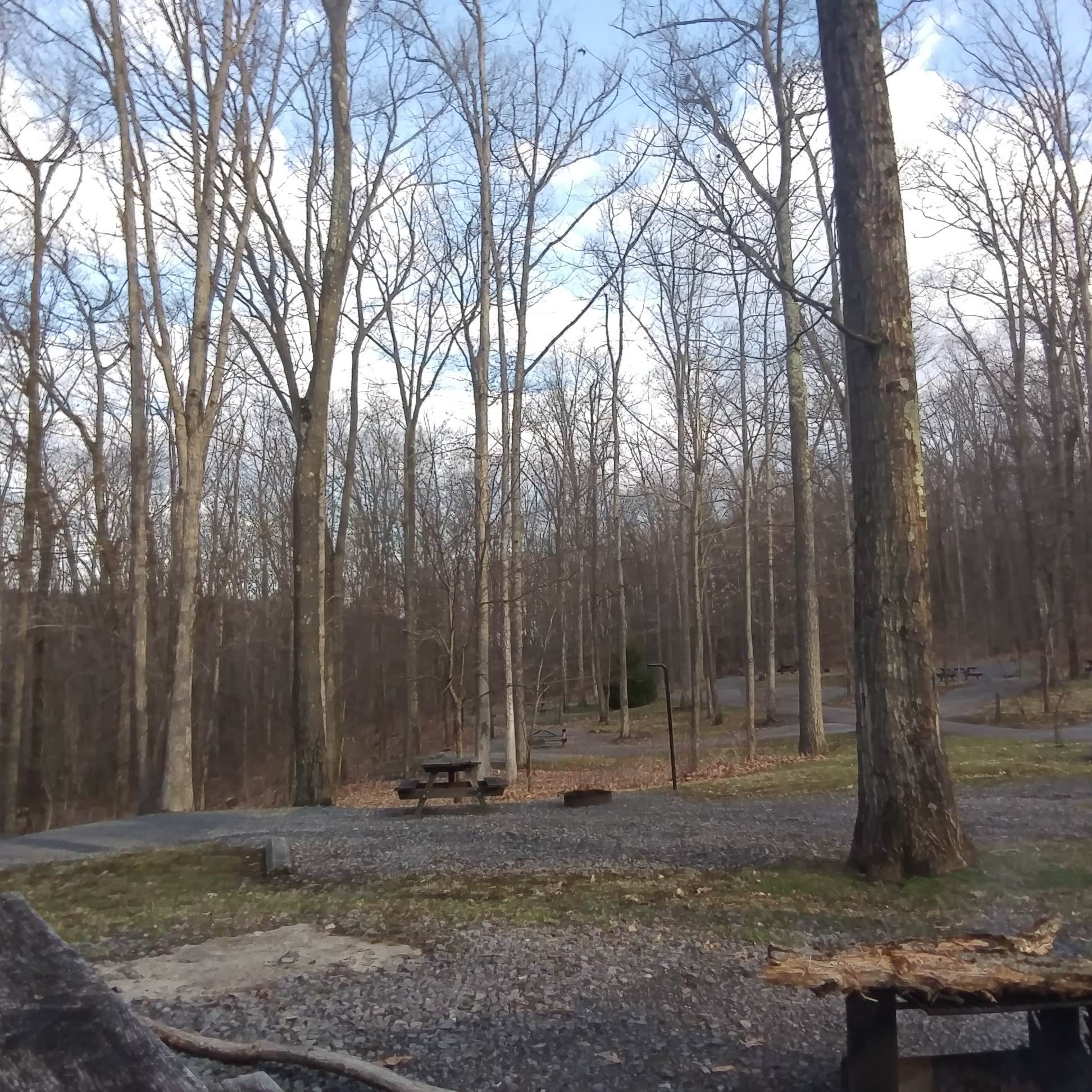 Black Moshannon State Park Camping The Dyrt