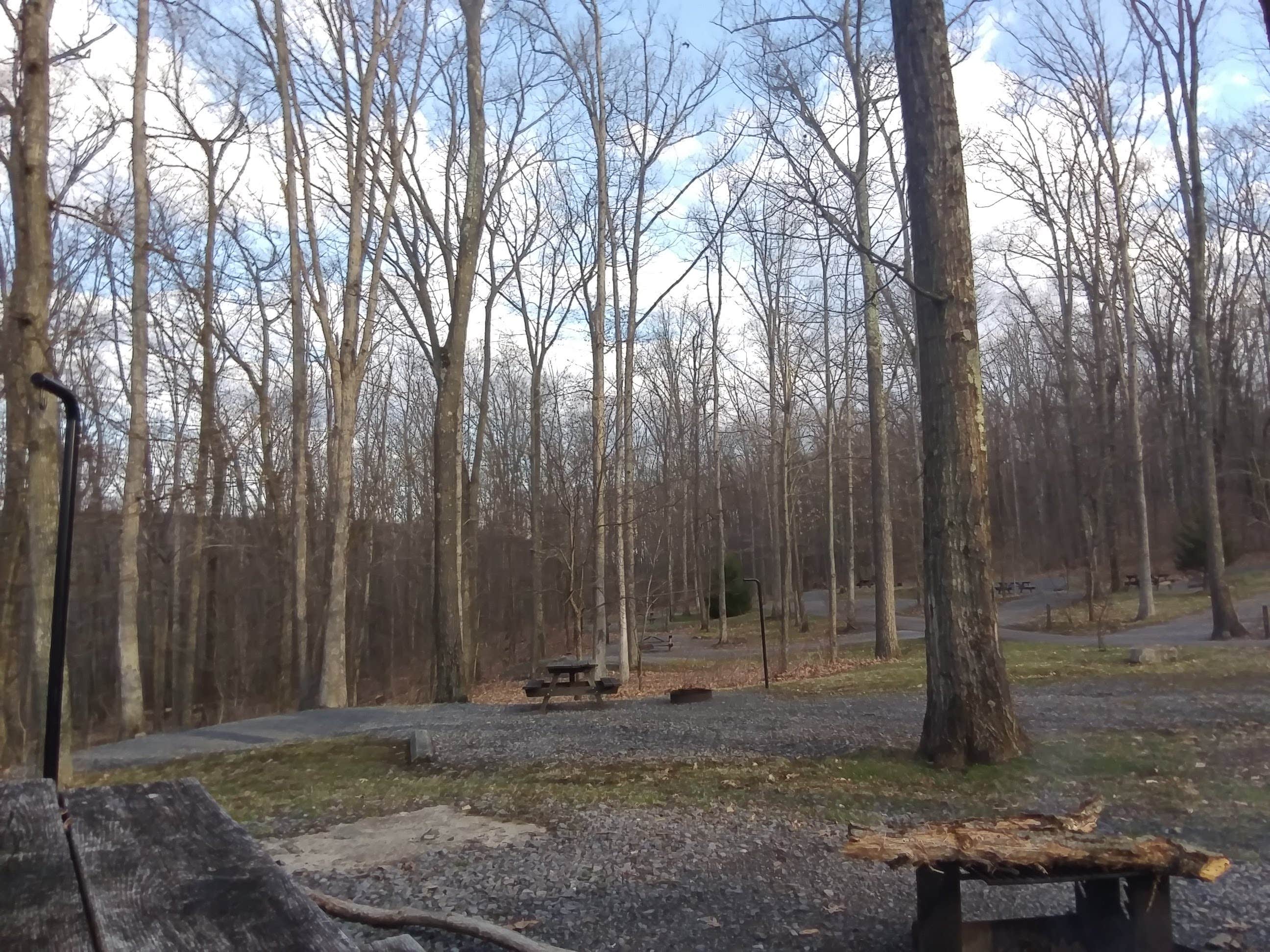 Camper submitted image from Black Moshannon State Park Campground - 4