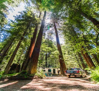 Camper-submitted photo from Gualala River Redwood Park