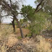 Review photo of Upper Campground - Pahranagat National Wildlife Refuge by Katie B., September 18, 2020