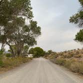 Review photo of Upper Campground - Pahranagat National Wildlife Refuge by Katie B., September 18, 2020