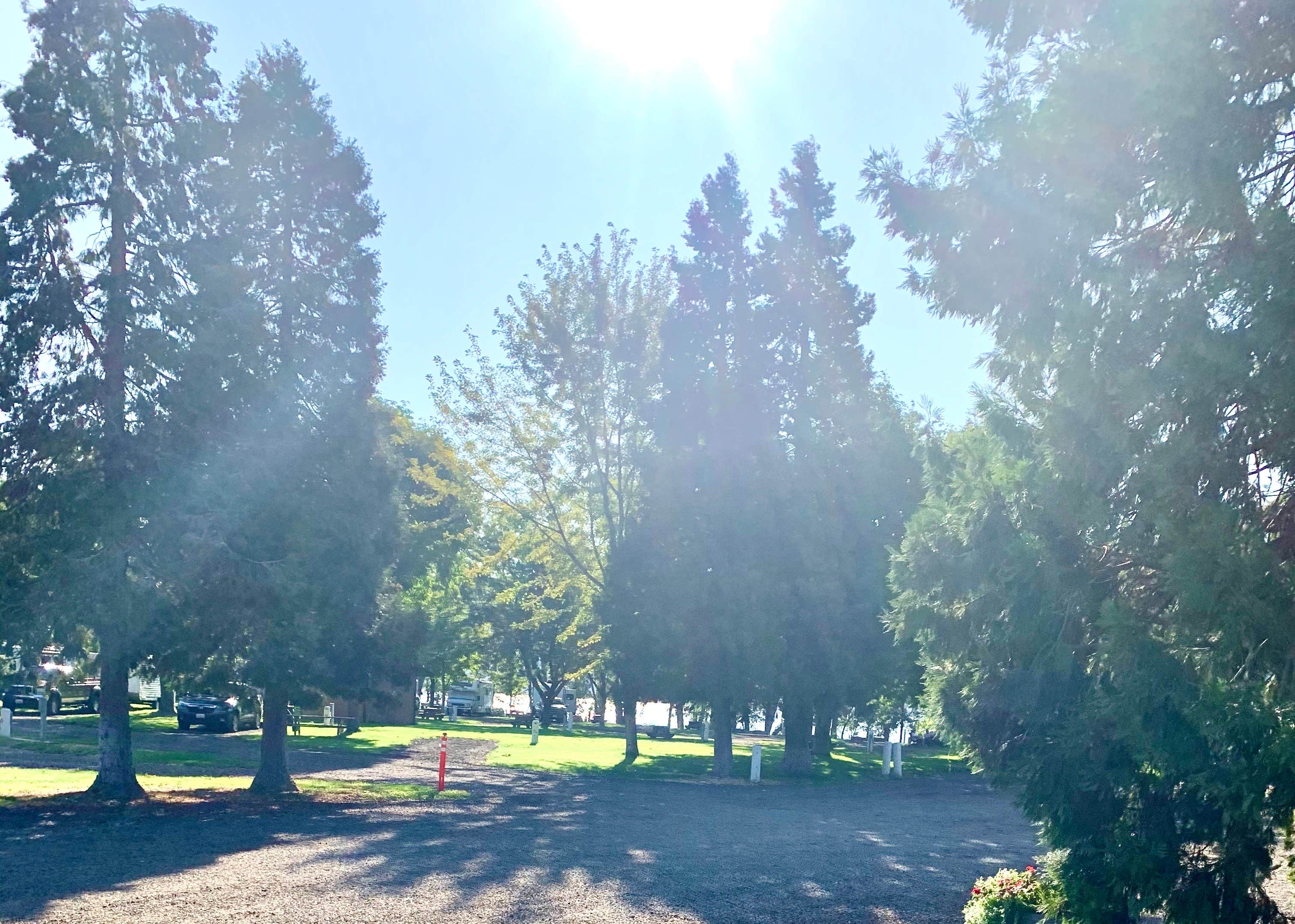 Camper-submitted photo at Peach Beach RV Park on the Columbia near Moro, OR