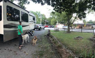 Laura H.'s photo of camping with pets at Nashville I-24 Campground near J Percy Priest Lake