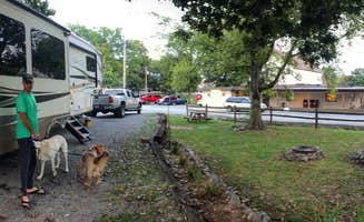 Laura H.'s photo of camping with pets at Nashville I-24 Campground near J Percy Priest Lake