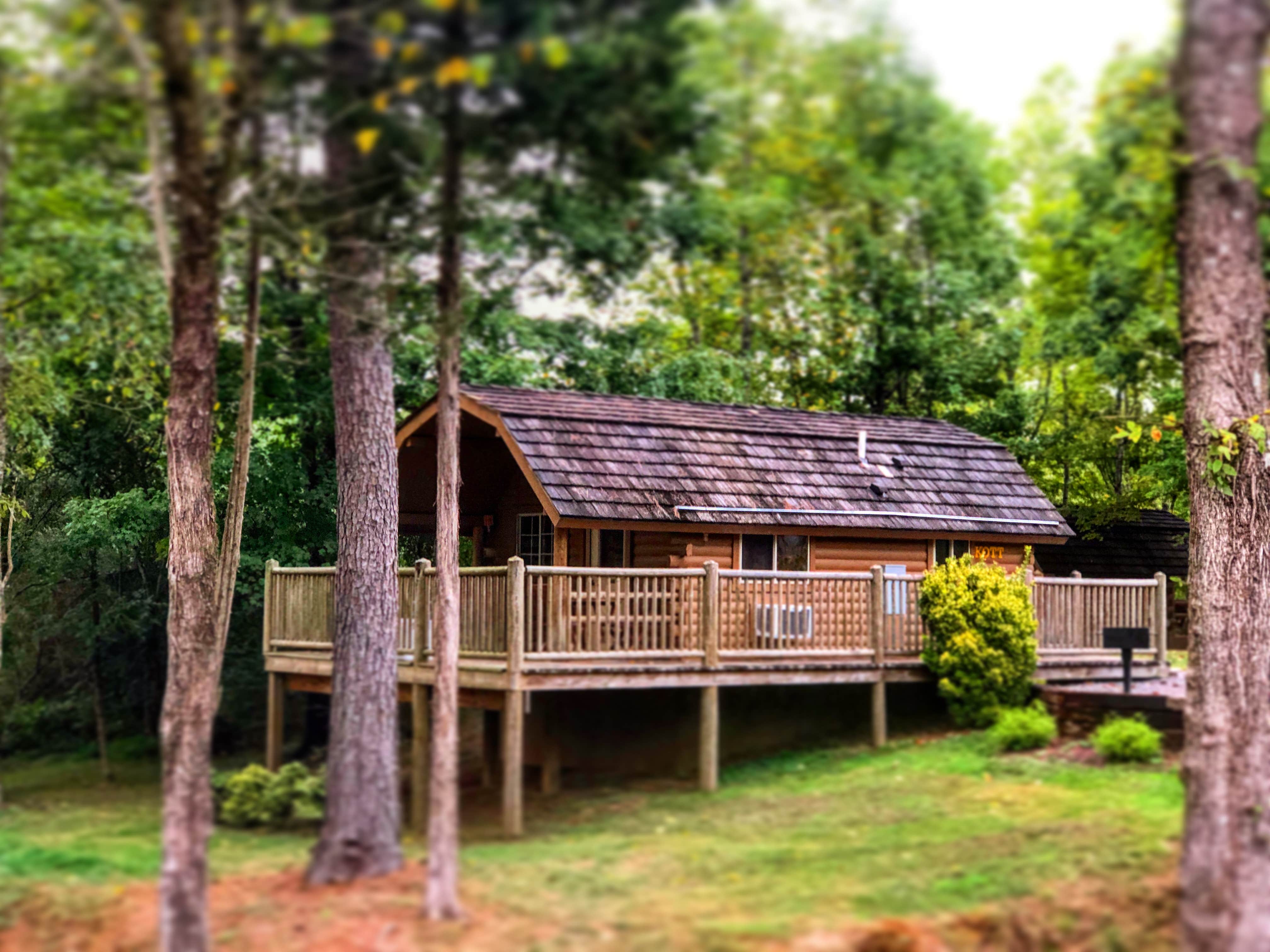 Camper submitted image from Chattanooga North-Cleveland KOA - 5