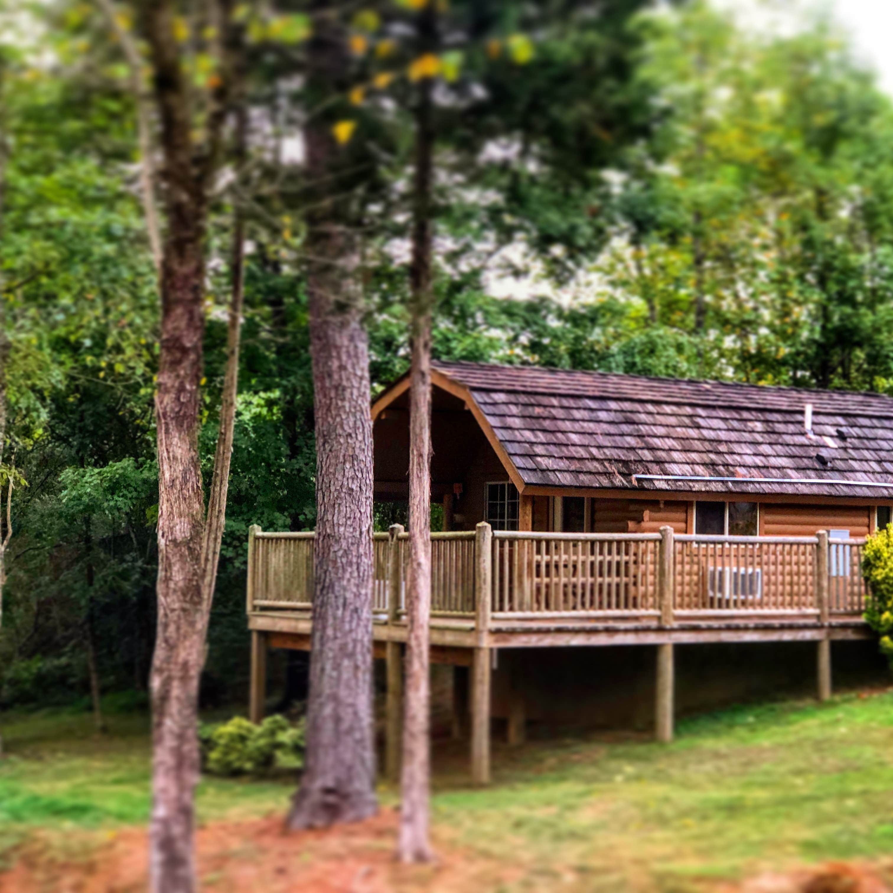 List 92+ Pictures chattanooga north / cleveland koa journey photos Full HD, 2k, 4k List 92+ Pictures chattanooga north / cleveland koa journey photos Full HD, 2k, 4k
