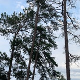 Review photo of Mistletoe State Park Campground by Phil K., September 20, 2020
