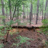 Review photo of Mistletoe State Park Campground by Phil K., September 20, 2020