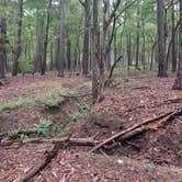 Review photo of Mistletoe State Park Campground by Phil K., September 20, 2020