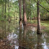 Review photo of Mistletoe State Park Campground by Phil K., September 20, 2020