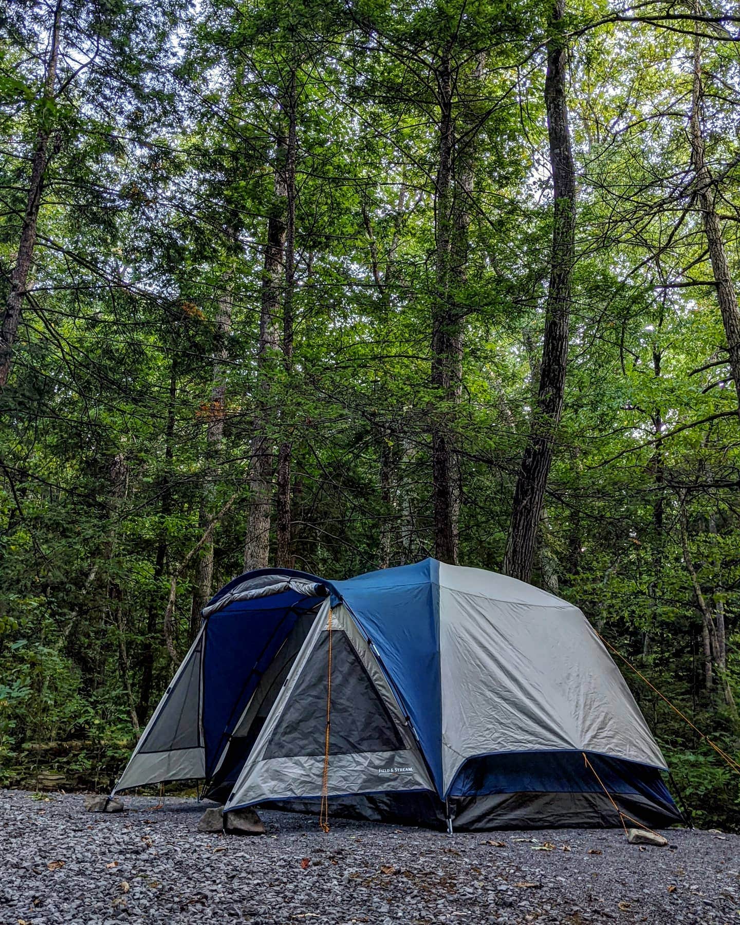 Danielle C.'s photo of tent camping at Reeds Gap State Park Campground near Vicksburg, PA