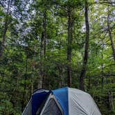 Review photo of Reeds Gap State Park Campground by Danielle C., September 20, 2020