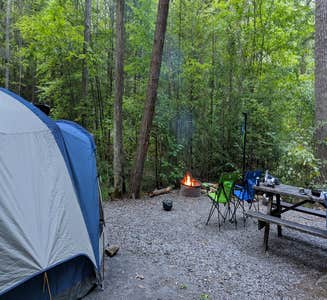 Camper-submitted photo from Reeds Gap State Park Campground