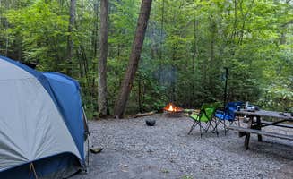 Danielle C.'s photo of tent camping at Reeds Gap State Park Campground near Reed, PA