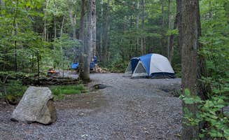 Danielle C.'s photo at Reeds Gap State Park Campground near State College, PA
