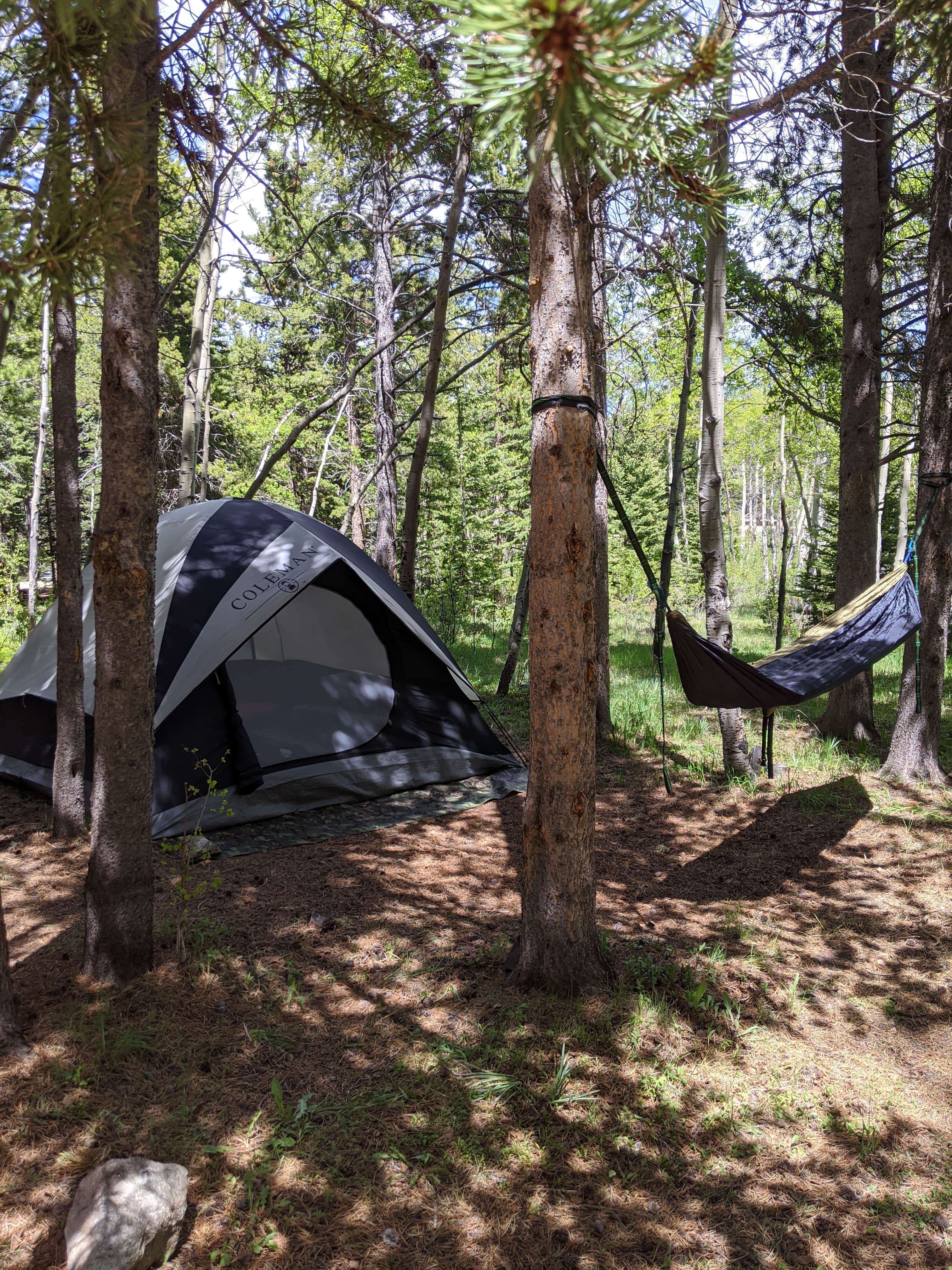 Arielle W.'s photo at West Tensleep Lake near Bighorn National Forest