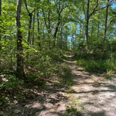Review photo of Red River Gorge Campground by Wayne H., September 20, 2020