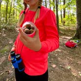 Review photo of Red River Gorge Campground by Wayne H., September 20, 2020