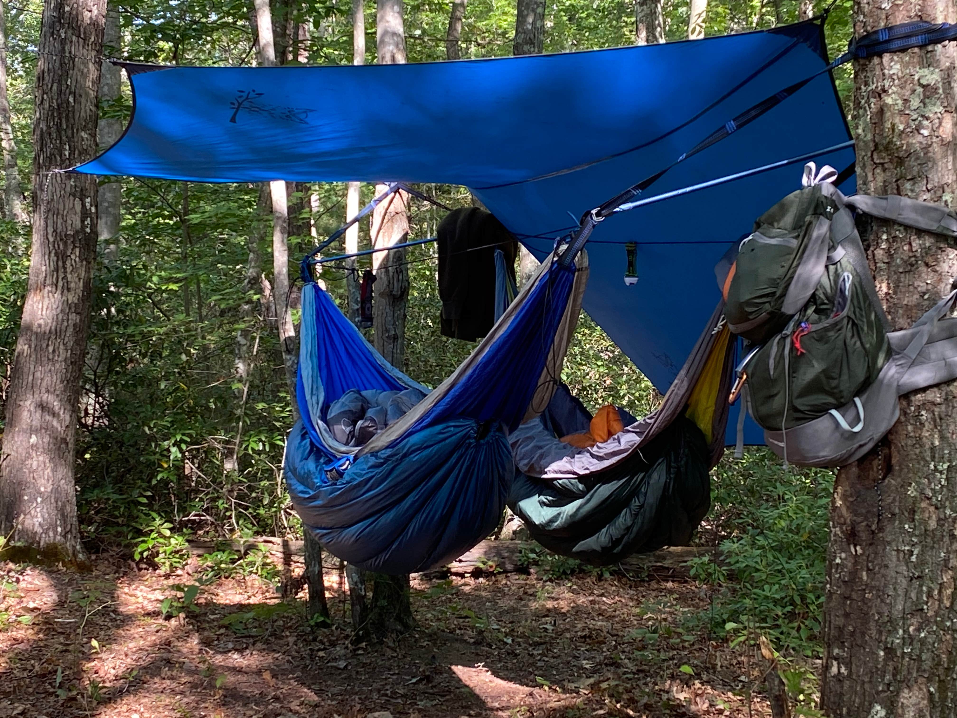 Wayne H.'s photo of tent camping at Red River Gorge Campground near Staffordsville, KY