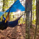 Review photo of Red River Gorge Campground by Wayne H., September 20, 2020