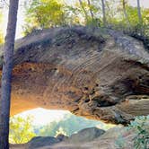 Review photo of Red River Gorge Campground by Wayne H., September 20, 2020