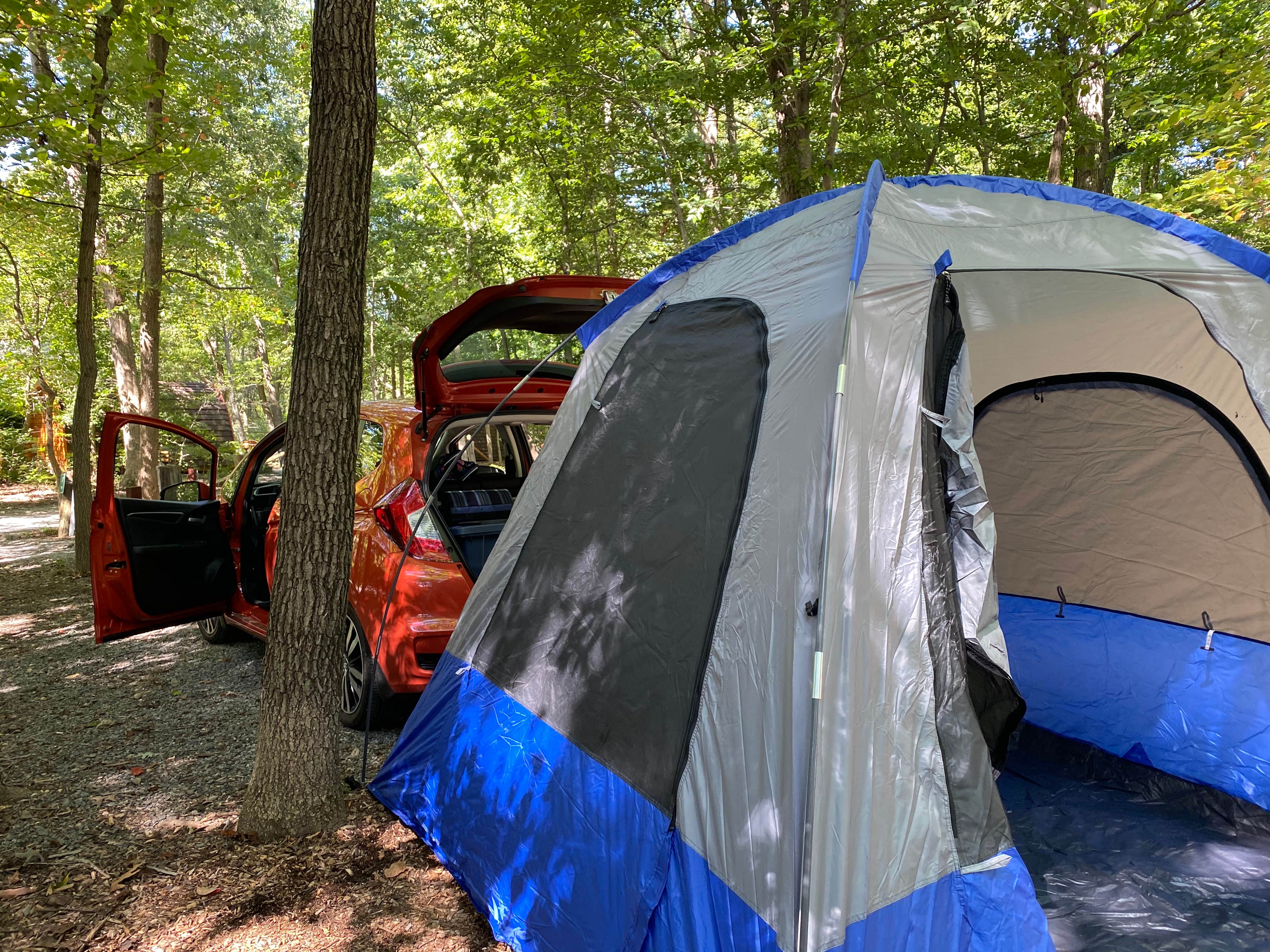 Vicki L.'s photo at Cherry Hill Park near Great Falls, VA