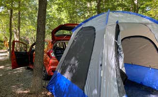 Vicki L.'s photo at Cherry Hill Park near Owings Mills, MD