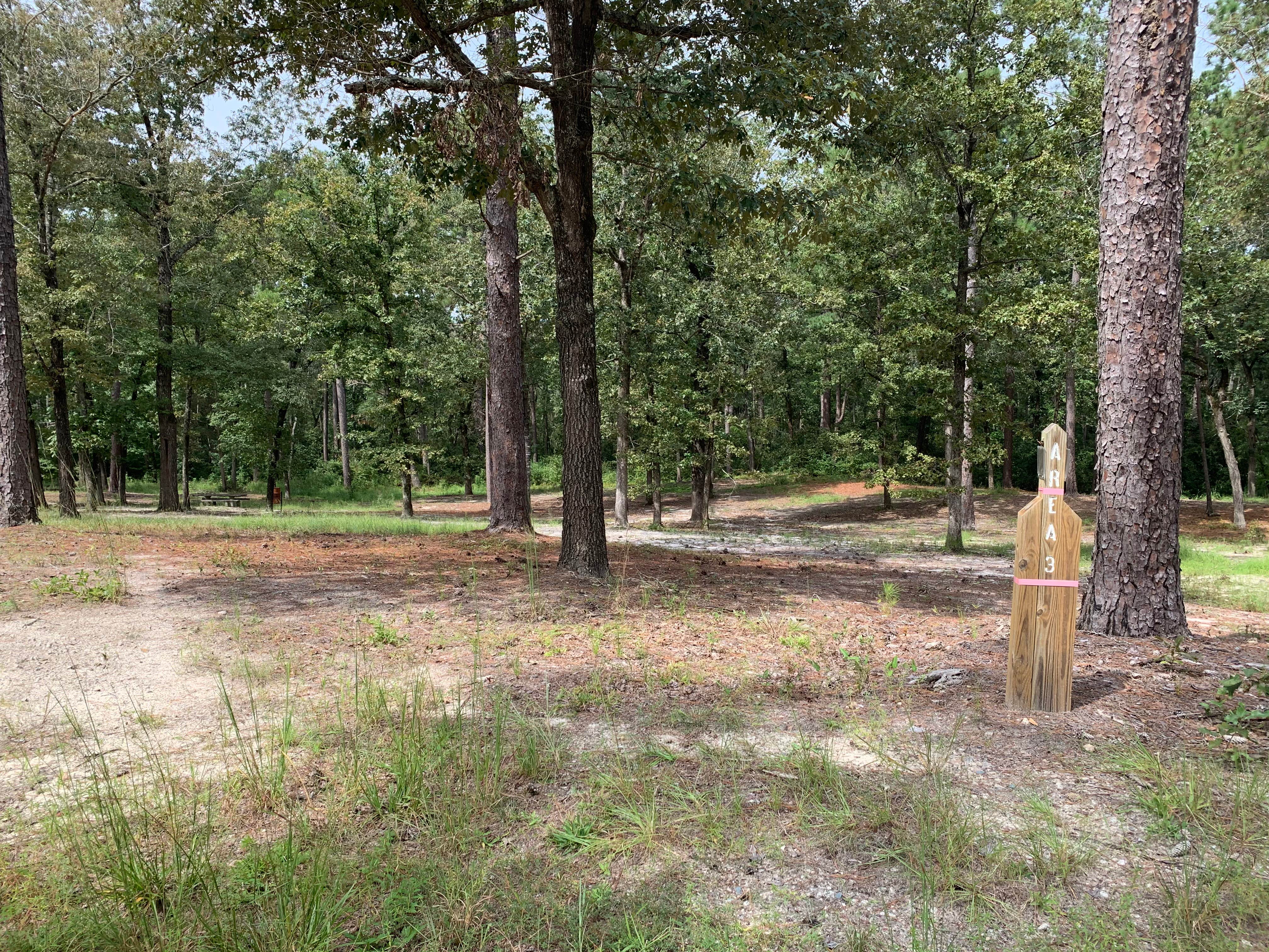 Site 3